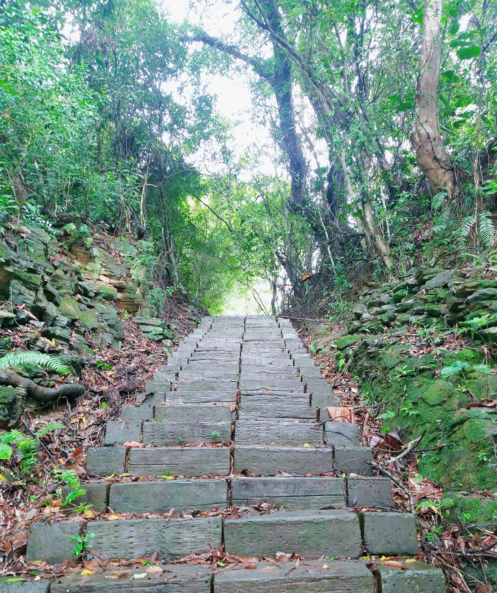 虎頭山步道 (2)